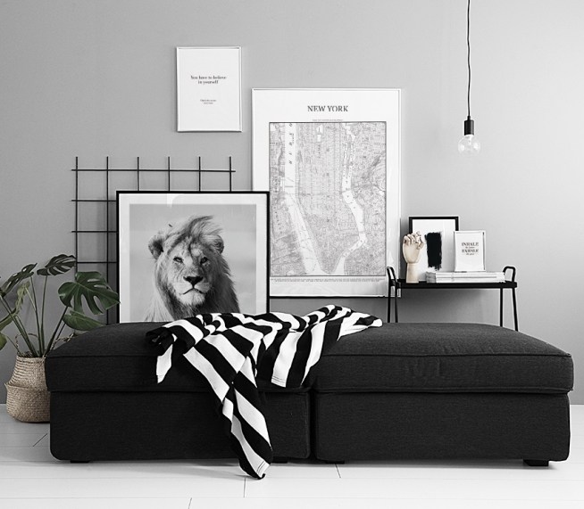  – Primo piano in bianco e nero di un leone