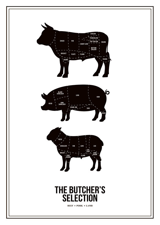 Butchers Beef Cuts, Poster