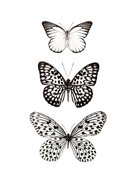 Three Butterflies, Affiches
