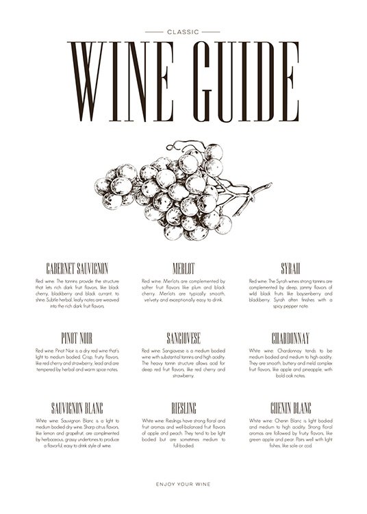 Wine Guide, Affiche