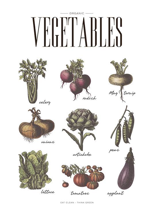 Vegetables, Affiche