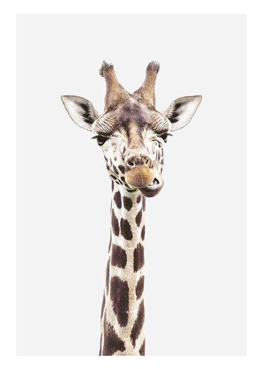 Baby Giraffe Poster / Giraffa presso Desenio AB (8358)