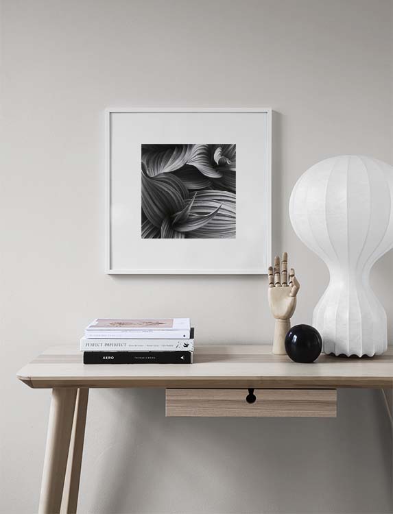 Hellebore Poster / Fiori & Piante presso Desenio AB (8498)