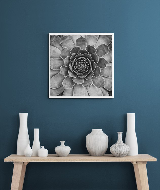 B&W Cactus Plant, Affiches / Noir et blanc chez Desenio AB (8583)