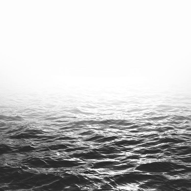 Black Ocean Poster / Natura presso Desenio AB (8588)