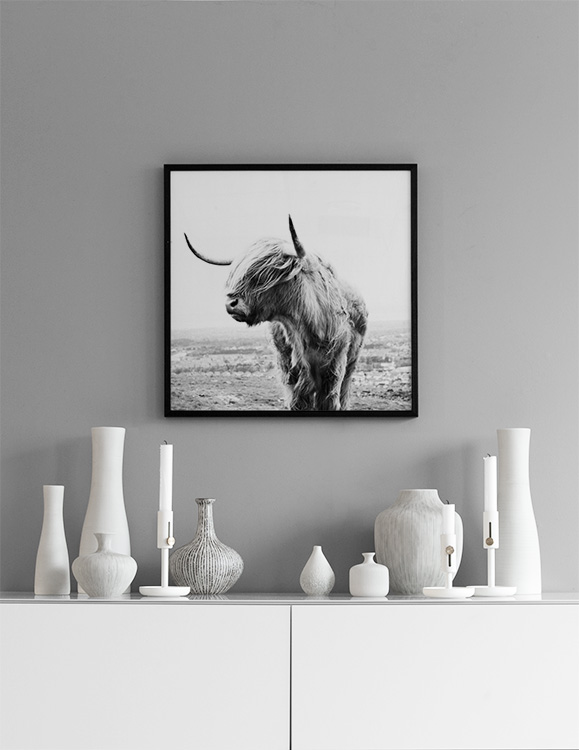 Highland Cow B&W Affiche / Insectes et animaux chez Desenio AB (8826)