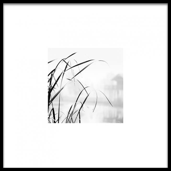 High Grass Affiche  / Noir et blanc chez Desenio AB (8910)