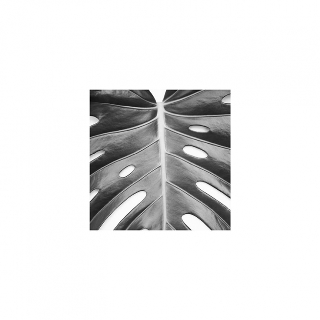 Monstera Deliciosa Affiche / Noir et blanc chez Desenio AB (8955)