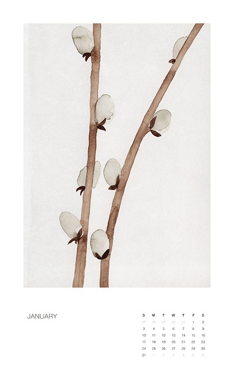 – Wandkalender mit Botanikillustrationen, mit einer Blume oder Pflanze für jeden Monat