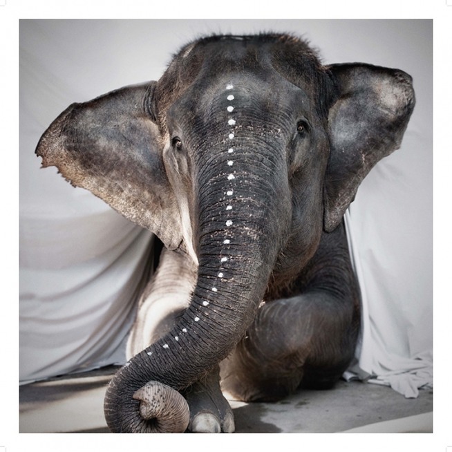 Love Warriors Adele Poster / Fotografien bei Desenio AB (Pre5631)