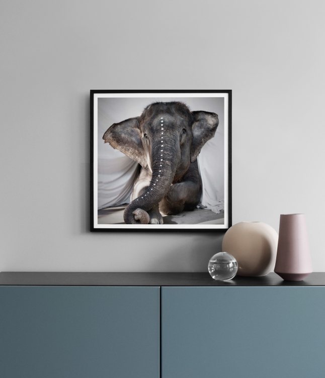 Love Warriors Adele Poster / Fotografien bei Desenio AB (Pre5631)