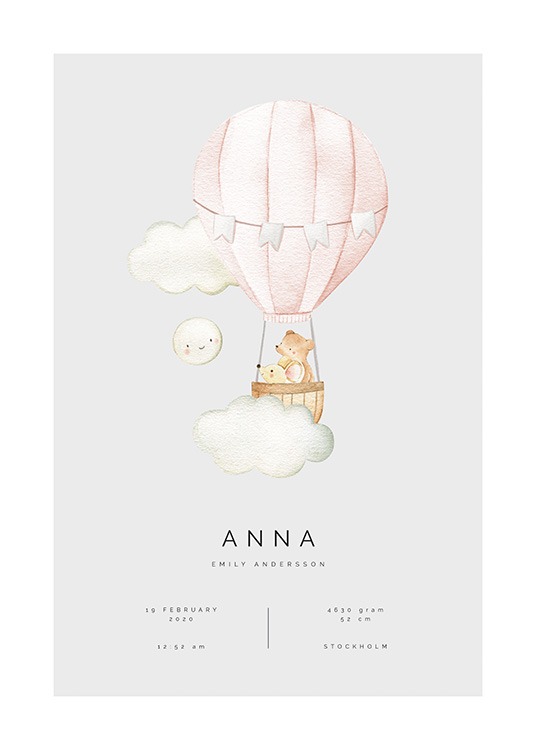Hot Air Balloon Personal Affiche
